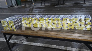 Sprečen šverc 50.000 cigareta